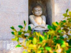 -毗卢寺