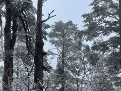-西岭雪山大飞水景区