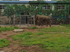 -西安秦岭野生动物园