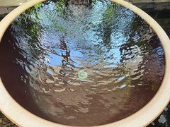 -弘安丽水温泉酒店