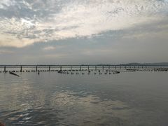 -苏州湾体育公园