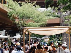 -瑞虹新天地月亮湾
