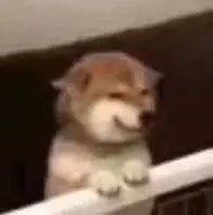 -临街徽菜馆·正宗黄山味