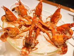 -红盔甲·小龙虾(昌里路店)