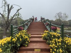 -上海鲜花港