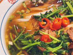 香菜卤牛肉-刘氏三和面馆