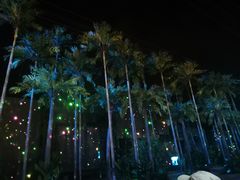 -三亚红色娘子军演艺公园景区