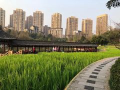 -龙头寺公园