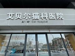 -艾贝尔宠物医院·24H转诊中心·肿瘤猫专科(江宁双龙店)