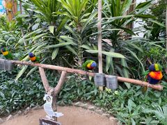 -南宫五洲植物乐园