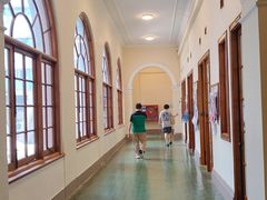 -香港大学