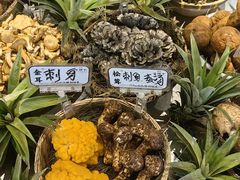 -滇铺子·云南特色菜·第九届野生菌美食节(东风东路c86店)
