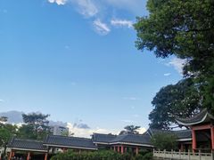 -紫马岭公园