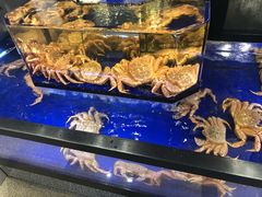 -蟹道乐(道顿堀本店)