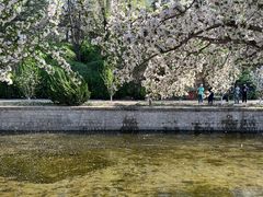 -海棠花溪(元大都城垣遗址公园)