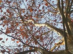 -湖南省立第一师范学校旧址