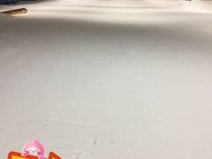 -绍兴启迪乔波冰雪世界