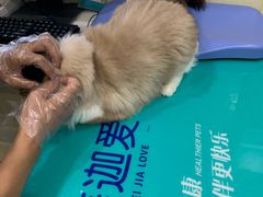 -美迦爱-牙专科·兔科·骨科诊疗中心(北苑店)