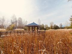 -野鸭湖国家湿地公园