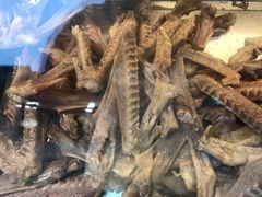 鹅翅-鹅村长扬州老鹅(东关街店)