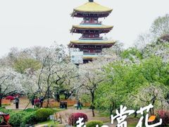 -西北湖绿化广场