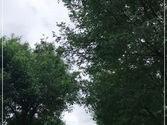 -鹦鹉寺公园
