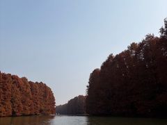 -上海海湾国家森林公园