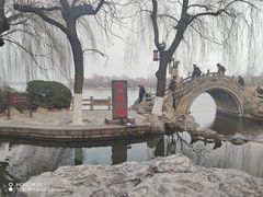 -济南大明湖景区