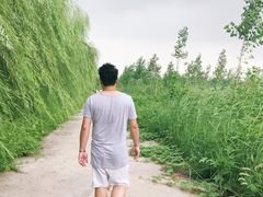 -白洋淀景区