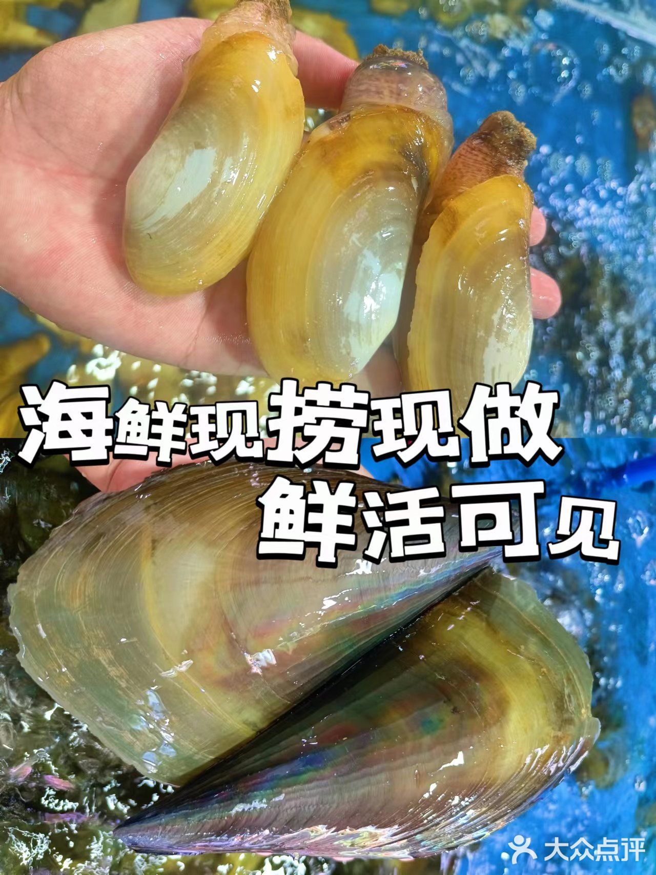 三亚美食丨川味海鲜小吃货的专属地