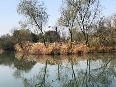 -西溪国家湿地公园