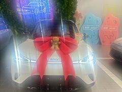 -上海浦东smart汽车全功能店(金桥店)