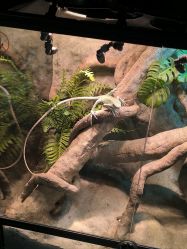 -酷嗒动物文化乐园(cutezoo西溪乐天城店)