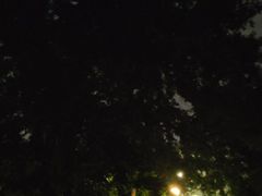 -江墅铁路遗址公园
