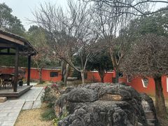 -绿色菜园·农家土菜(贤山店)