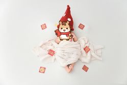 -玛瑞莎孕婴童摄影到家拍