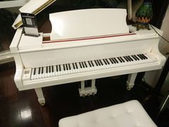 -圣典成人钢琴俱乐部(国贸旗舰校区)