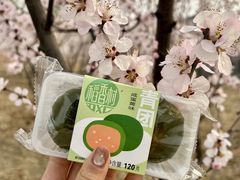 -稻香村(观前街店)