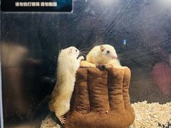 -太平洋海底世界