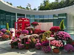 -云溪植物园