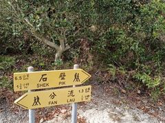 -大澳