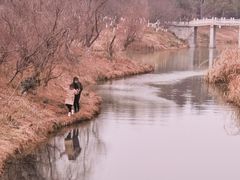 -八大山人梅湖景区