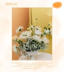 -HELLO你好婚礼婚庆策划