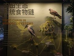 -四川大学博物馆