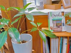 -Onirii Coffee(长乐路店)