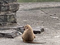 -宁波野生动物园