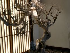 -健身浴池(站前街店)