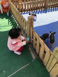 -萌宠亲子动物乐园(槐房万达店)