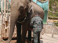 -大连森林动物园