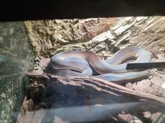 -深圳野生动物园